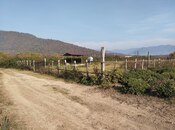 Участок - Загатала - 13 сот