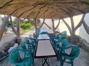 İcarəyə verilir 7 otaqlı həyət evi/bağ evi 300 m², Görədil q., photo 8 from 8