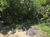 Satılır 3 otaqlı həyət evi/bağ evi 90 m², Binə q., photo 5 from 8