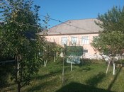 4 otaqlı həyət evi/bağ evi - Qəbələ - 100 m²