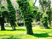 4-комн. новостройка - м. Низами - 165 м²