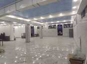Obyekt - Xırdalan - 256 m²