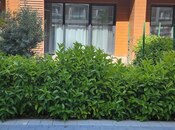 1-комн. новостройка - пос. Sea Breeze - 57 м²