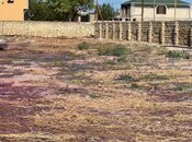 Участок - пос. Нардаран - 6 сот
