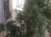 3 otaqlı həyət evi/bağ evi - Binə q. - 110 m²