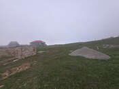 Torpaq - Şamaxı - 2 sot