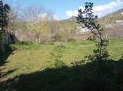 Torpaq - Şamaxı - 10 sot