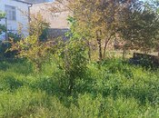 Torpaq - Lökbatan q. - 10.6 sot