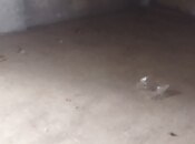 4-комн. новостройка - Хырдалан - 114 м²