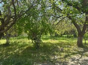 Torpaq - Qara Qarayev m. - 30 sot