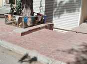 İcarəyə verilir  obyekt 50 m², Nizami r., photo 7 from 8