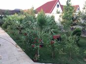 İcarəyə verilir 4 otaqlı həyət evi/bağ evi 220 m², Mərdəkan q., photo 7 from 8