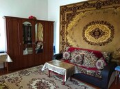 6 otaqlı həyət evi/bağ evi - Şəki - 500 m²