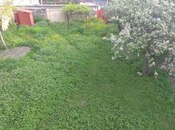 6 otaqlı həyət evi/bağ evi - Şəki - 500 m²