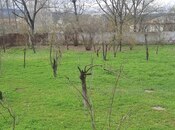 Участок - Исмаиллы - 10 сот