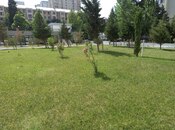2 otaqlı yeni tikili - İnşaatçılar m. - 95 m²