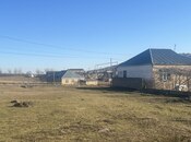 Участок - Шемаха - 12.5 сот