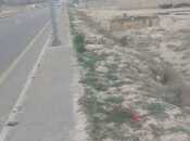 Продаётся  участок 4 сот, пос. Новханы, photo 6 from 6