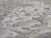 Продаётся  участок 4 сот, пос. Новханы, photo 2 from 6