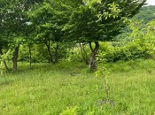 4 otaqlı həyət evi/bağ evi - İsmayıllı - 100 m²
