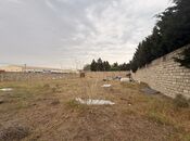 Продаётся  участок 10 сот, пос. Шувеляны, photo 7 from 8