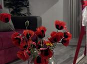 Satılır 5 otaqlı həyət evi/bağ evi 159 m², Novxanı q., photo 6 from 8