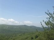 Участок - Шемаха - 50 сот