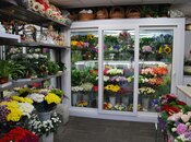 Объект - м. Элмляр Академиясы - 70 м²