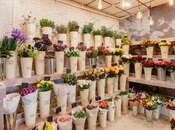 Объект - м. Элмляр Академиясы - 70 м²
