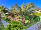 İcarəyə verilir 6 otaqlı həyət evi/bağ evi 400 m², Mərdəkan q., photo 6 from 8