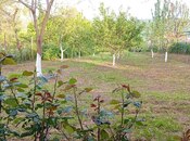 5 otaqlı həyət evi/bağ evi - Qusar - 250 m²