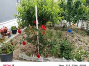 4 otaqlı həyət evi/bağ evi - Pirşağı q. - 140 m²