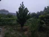 Torpaq - Qala q. - 4 sot