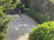 4 otaqlı həyət evi/bağ evi - Novxanı q. - 150 m²