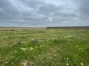 Продаётся  участок 3 сот, Абшеронcкий  р., photo 5 from 5