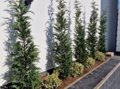 Продаётся 7-комн. дом/дача 450 м², пос. Бадамдар, photo 6 from 8