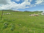 Продаётся  участок 17 сот, Кедабек р., photo 5 from 7
