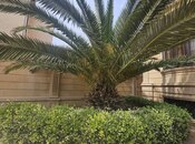 6 otaqlı həyət evi/bağ evi - Həzi Aslanov q. - 700 m²