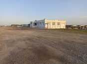 Obyekt - Hacıqabul - 55000 m²