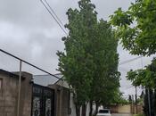 8 otaqlı həyət evi/bağ evi - Mərdəkan q. - 300 m²