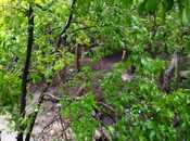 Продаётся  участок 2 сот, м. Ахмедлы, photo 7 from 7
