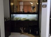 İcarəyə verilir 3 otaqlı yeni tikili 174 m², Sahil m., photo 3 from 8