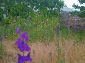4 otaqlı həyət evi/bağ evi - Masazır q. - 100 m²