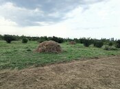 Torpaq - Qəbələ - 250 sot