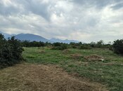 Продаётся  участок 250 сот, photo 8 from 8