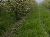 Продаётся  участок 115 сот, photo 5 from 8
