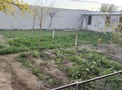 5 otaqlı həyət evi/bağ evi - Binə q. - 210 m²