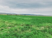 Продаётся  участок 13 000 сот, photo 4 from 4