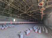 Obyekt - Mehdiabad q. - 780 m²