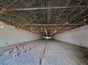 Сдаётся  объект 900 м², пос. Мехтиабад, photo 5 from 5